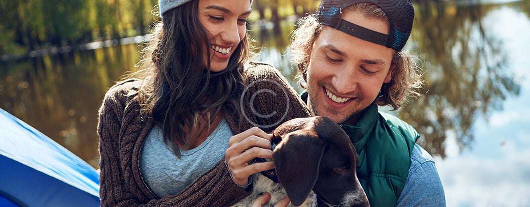 bg-17-copyright bg-17-copyright